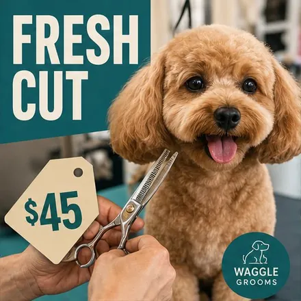 A finished post for dog grooming